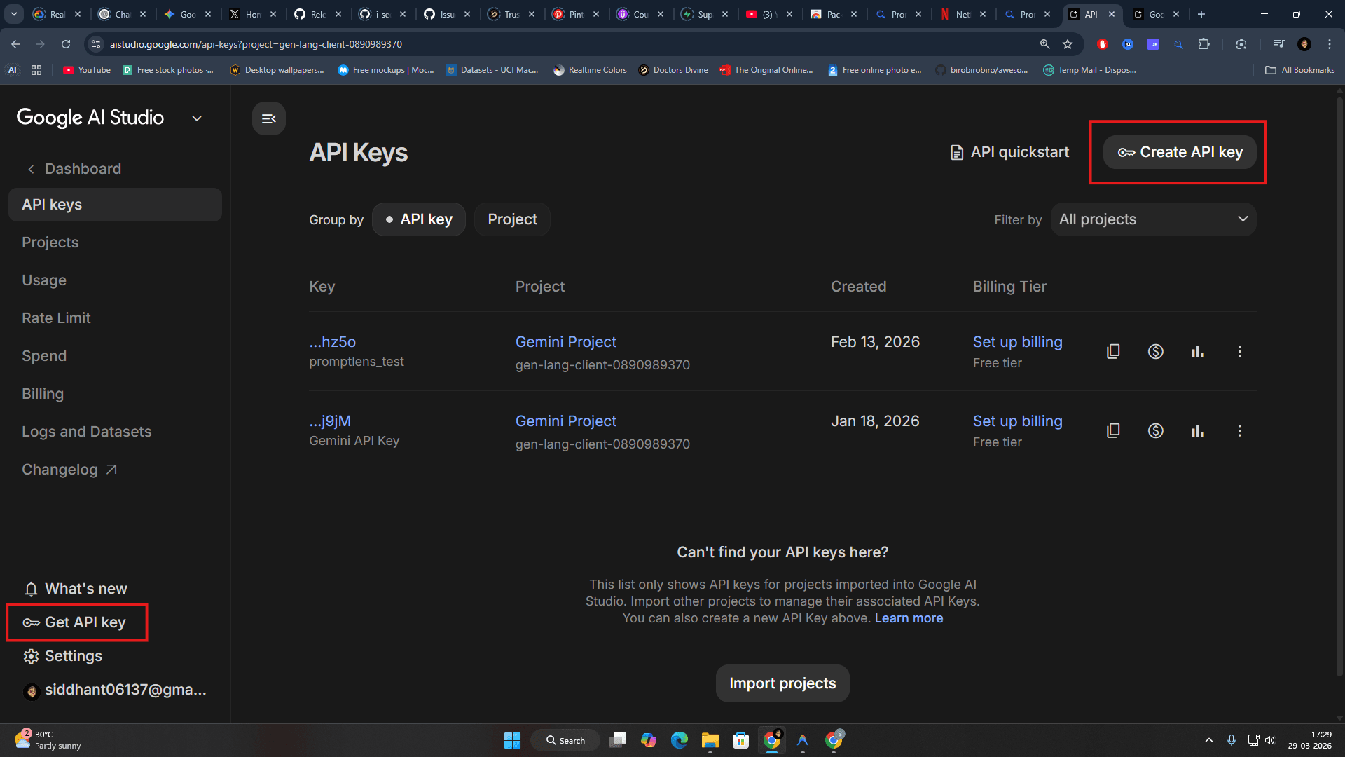 Google Gemini provider setup